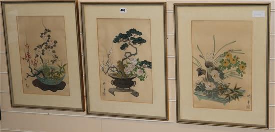 Three Japanese watercolours on silk of bonsai 38 x 25cm